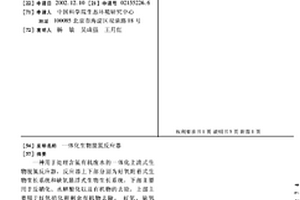 一体化生物脱氮反应器