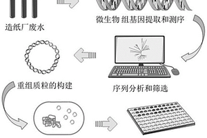 宏基因组来源的木聚糖酶及其编码基因