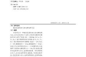 硫化促进剂M污水电解处理方法