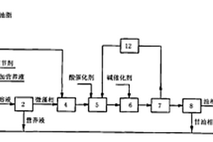 偶合废弃油脂和工程微藻生产生物柴油的系统装置