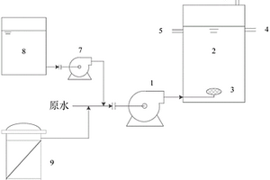 具有改进结构的水处理高级氧化反应装置