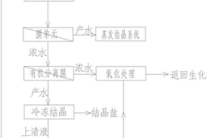 浓盐水零排放过程中低浓度有机物与盐分离工艺的设备