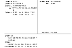 利用洋葱假单胞菌处理含汞及二价金属离子污水的方法