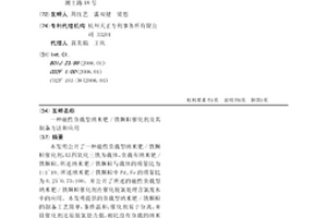 磁性负载型纳米钯/铁颗粒催化剂及其制备方法和应用