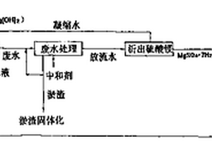 利用防止公害系统的硫酸镁的生产方法及系统