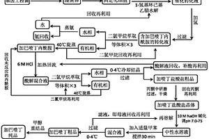 化学-酶法生产加巴喷丁的方法