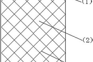 基于网状条带纳米炭纤维固着基水处理填料