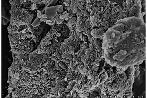 非均相光催化剂g-C<Sub>3</Sub>N<Sub>4</Sub>@α-FOD的制备方法及其降解有机污染物的应用