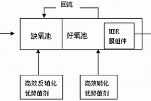 利用微生物对低COD高氨氮城市污水进行生物脱氮方法