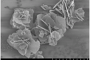 PtRu-SnNb<Sub>2</Sub>O<Sub>6</Sub>二维复合材料的制备方法