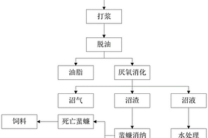 利用蜚蠊消纳餐厨垃圾沼气工程沼渣的方法