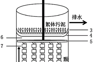 基于颗粒污泥强化分离装置的厌氧氨氧化反应系统及运行方法