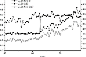全程自养脱氮工艺生物滤池的反冲洗方法