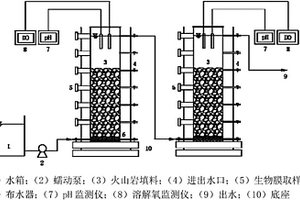 同步串联启动低基质厌氧氨氧化工艺的方法
