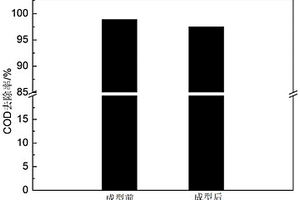 催化湿式氧化催化剂的成型方法