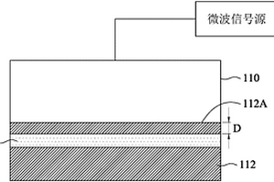 微波染色设备及微波染色方法