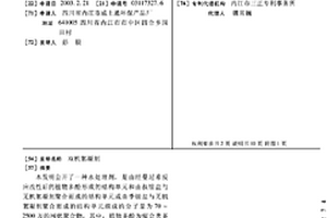 双机絮凝剂