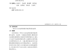 用于污水处理的微生物活性强化液剂