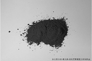 基于馒头组矿物岩石的白云质灰岩-氧化铁-纳米壳聚糖复合材料及其制备与应用