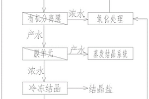 浓盐水零排放过程中高浓度有机物与盐的分离工艺及专用设备