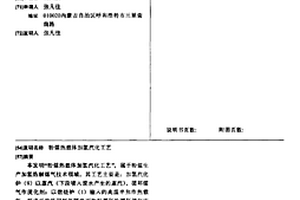 粉煤热载体加氢汽化工艺