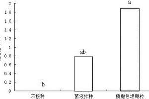紫花苜蓿根瘤菌固定化包埋颗粒剂型的制备方法及其应用