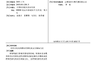 利用可见光的固相光催化剂及其制备方法