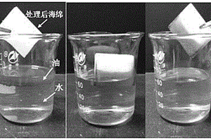 高效疏水吸油海绵的制备方法