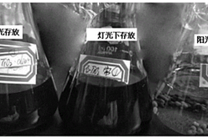 壳聚糖基石墨烯/TiO<Sub>2</Sub>复合微球及其制备方法