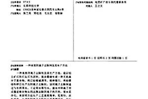 高效阴离子去除剂及其生产方法