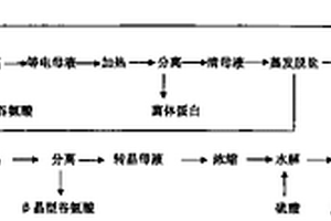 结合转晶的谷氨酸提取工艺
