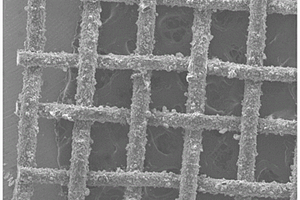 耐腐蚀性超疏水不锈钢网的制备方法及其应用