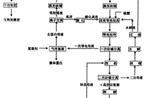 转晶结合离子交换回收的谷氨酸提取工艺