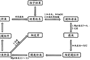 柚皮苷的制备方法