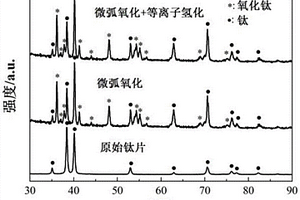 原位自生长黑色氧化钛涂层的制备方法