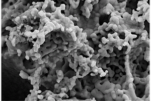 钙钛矿型锆酸钙复合材料的制备方法及应用