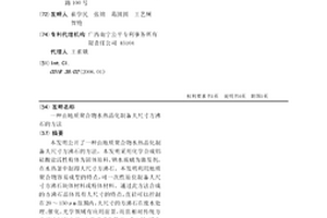 由地质聚合物水热晶化制备大尺寸方沸石的方法