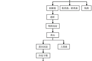 利用水酶法大豆水解液制备功能性蛋白复合物的方法