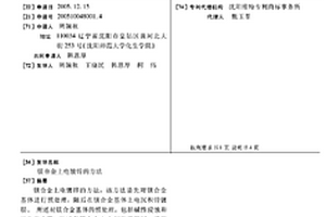 镁合金上电镀锌的方法