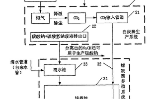 基于白炭黑生产系统的螺旋藻养殖系统及方法