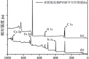 在PVDF中空纤维膜上固定亚铁氰化铜的方法