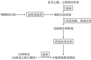 中链脂肪酸碳链延长功能微生物及其富集方法和应用