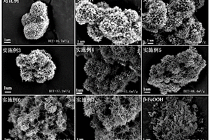 添加外源晶种介导施氏矿物的生物合成方法及其产物与应用