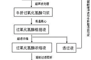 从牛肝脏中提取过氧化氢酶的方法