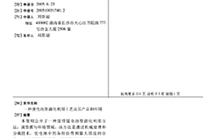 废电池资源化利用工艺及其产品和应用