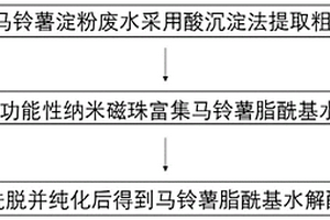 基于功能性纳米磁珠富集马铃薯酯酰基水解酶的方法