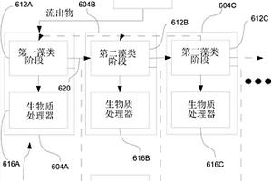 具有环路反应器的共生藻类系统