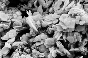 磁性可回收片状NiFe<sub>2</sub>O<sub>4</sub>/BiOI复合纳米材料的制备方法及应用