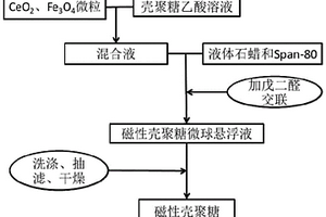 磁性微球及其制备方法和应用