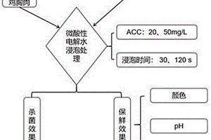 电解水在肉鸡屠宰中的杀菌与保鲜应用